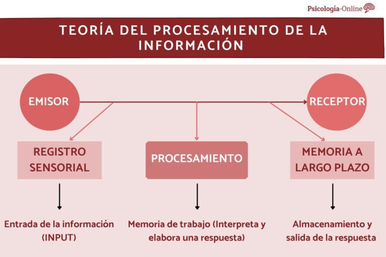 Procesamiento de la información
