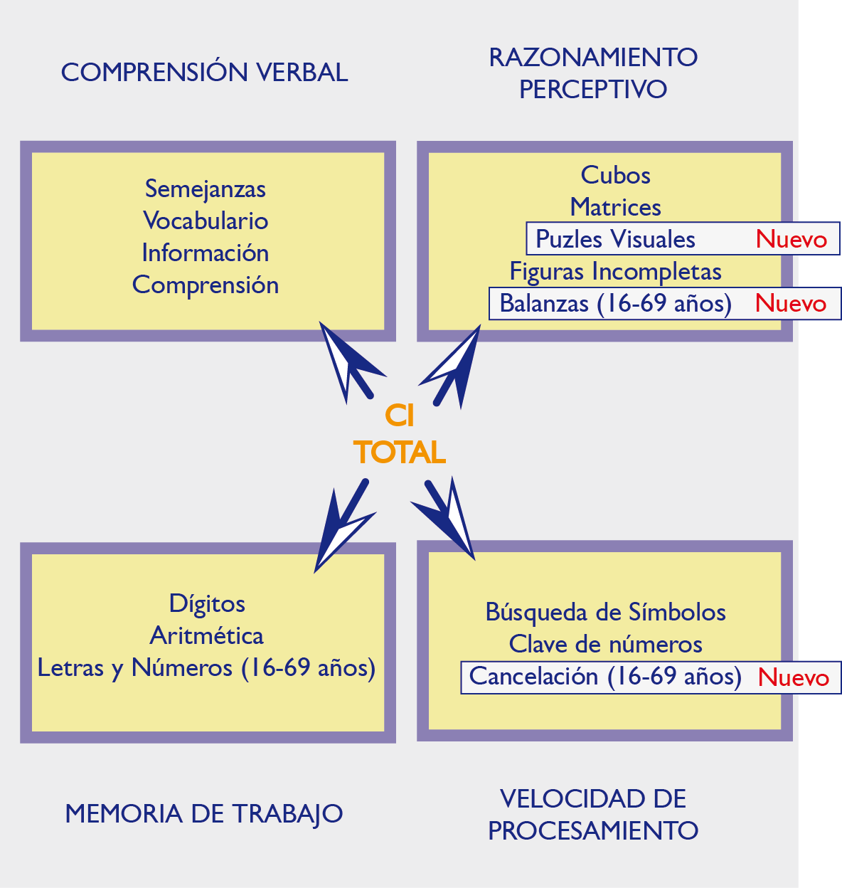 Prueba de WAIS (Escala de Inteligencia de Wechsler para Adultos)