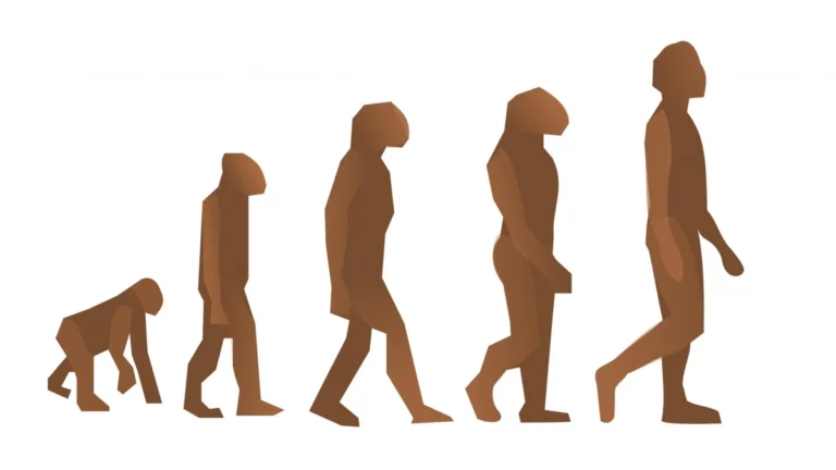 Psicología evolucionista