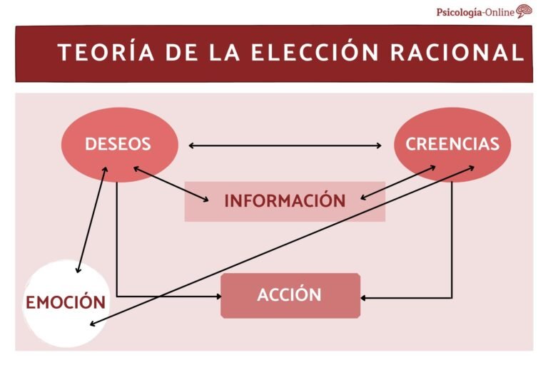 Teoría de la elección racional