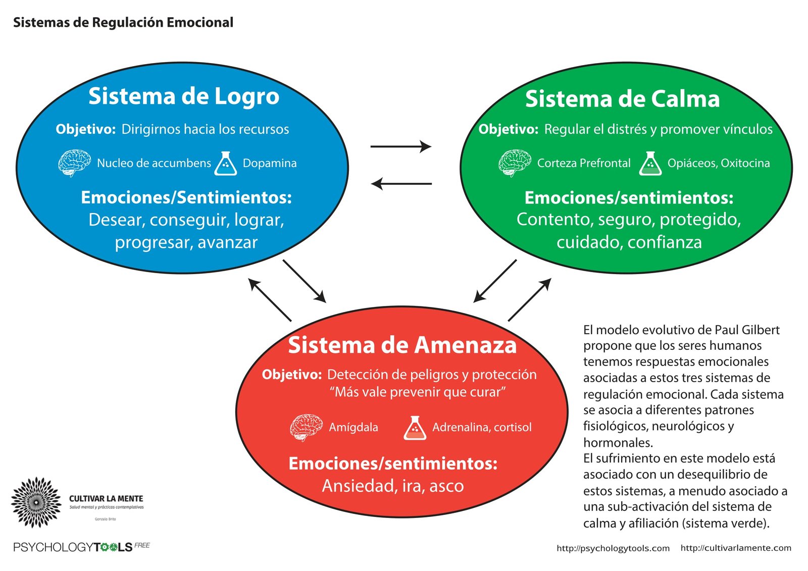 Terapia basada en la compasión