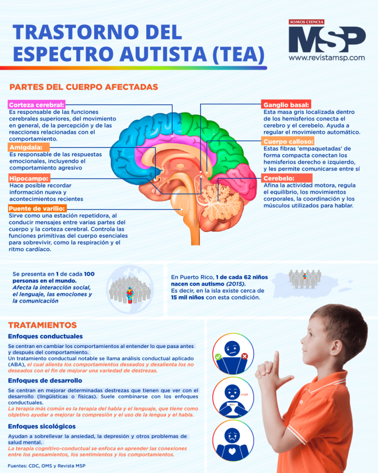 Trastorno del espectro autista