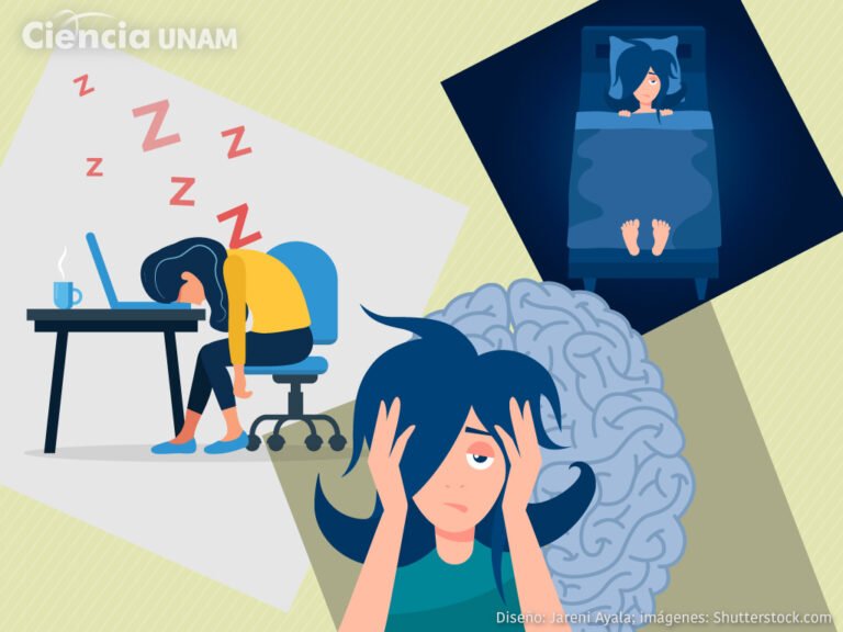 Trastorno del sueño de la narcolepsia