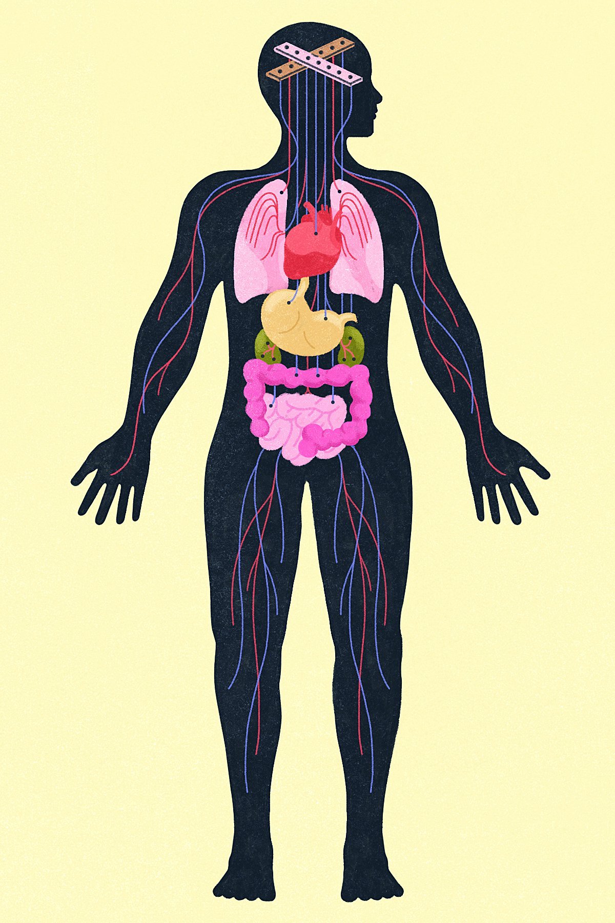 Trastornos de la salud física